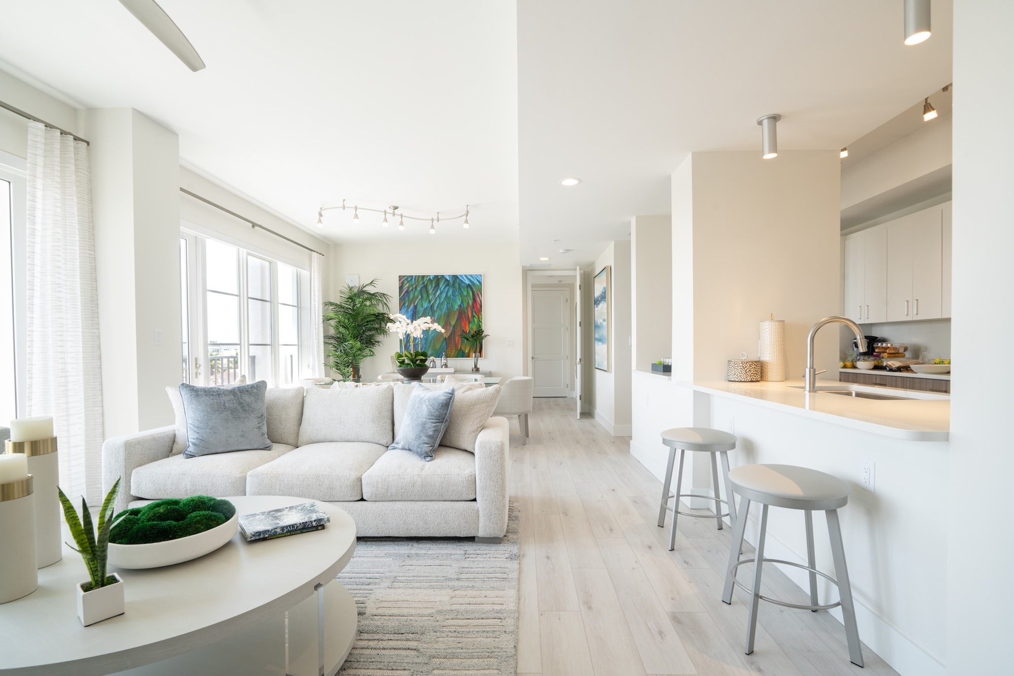 Generous living spaces with beautiful natural lighting Open space living area with natural lighting